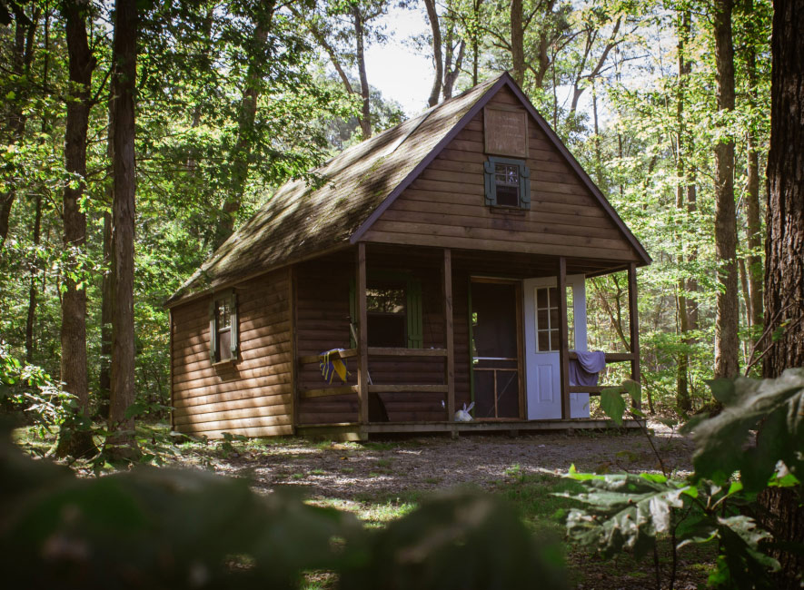 Tree House Tent